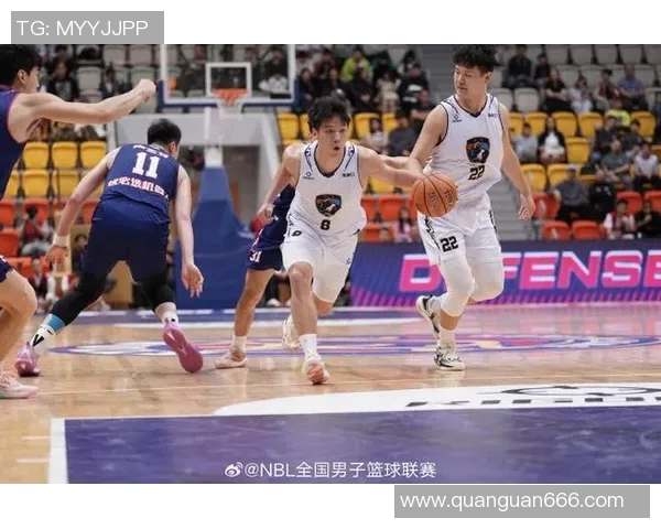 张家口篮球全明星赛盛况空前球迷热情高涨展现城市篮球魅力